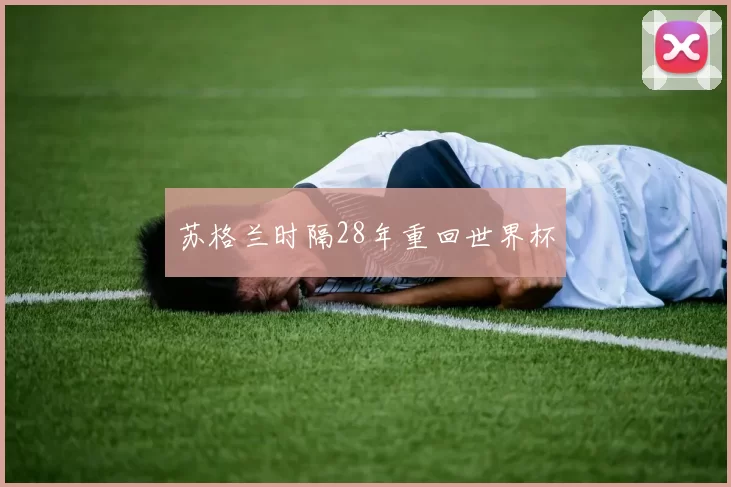 苏格兰时隔28年重回世界杯