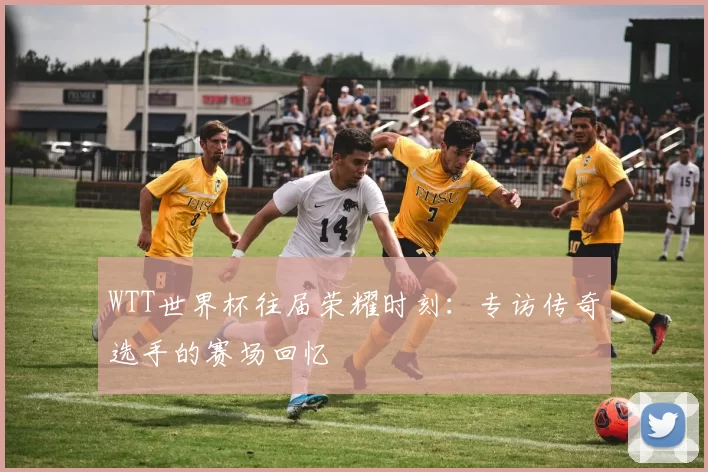 WTT世界杯往届荣耀时刻:专访传奇选手的赛场回忆