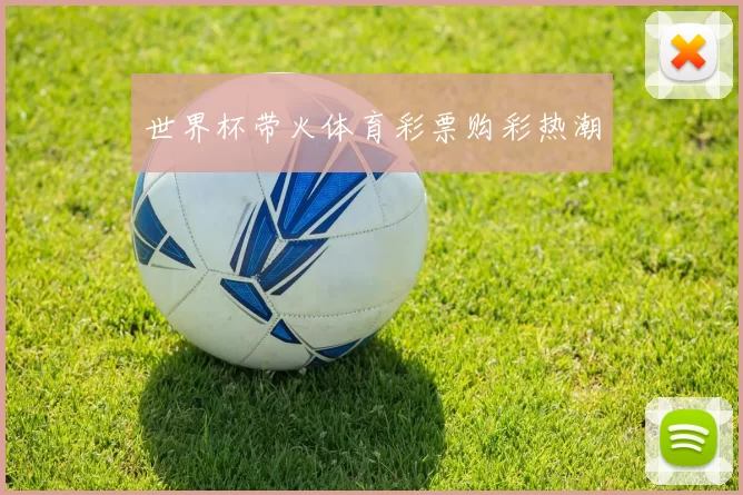 世界杯带火体育彩票购彩热潮