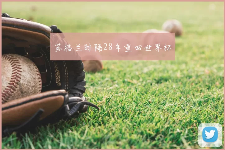 苏格兰时隔28年重回世界杯