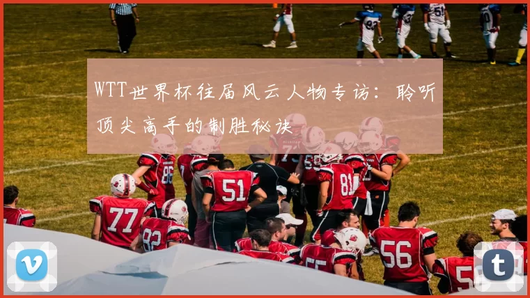 WTT世界杯往届风云人物专访：聆听顶尖高手的制胜秘诀