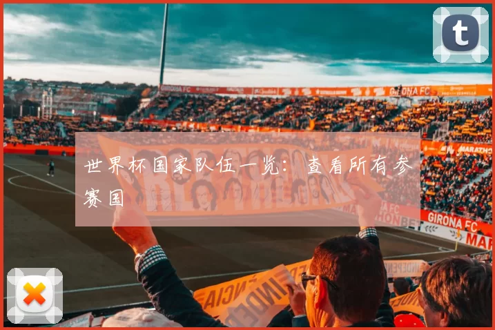 世界杯国家队伍一览：查看所有参赛国